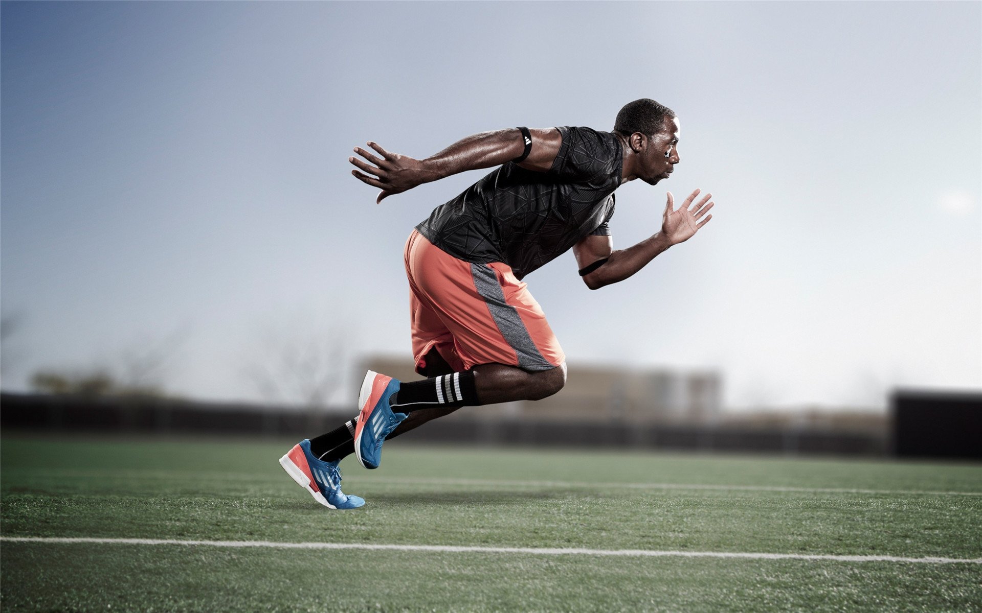 中国篮球联赛市场化运作模式,篮球市场细分方案